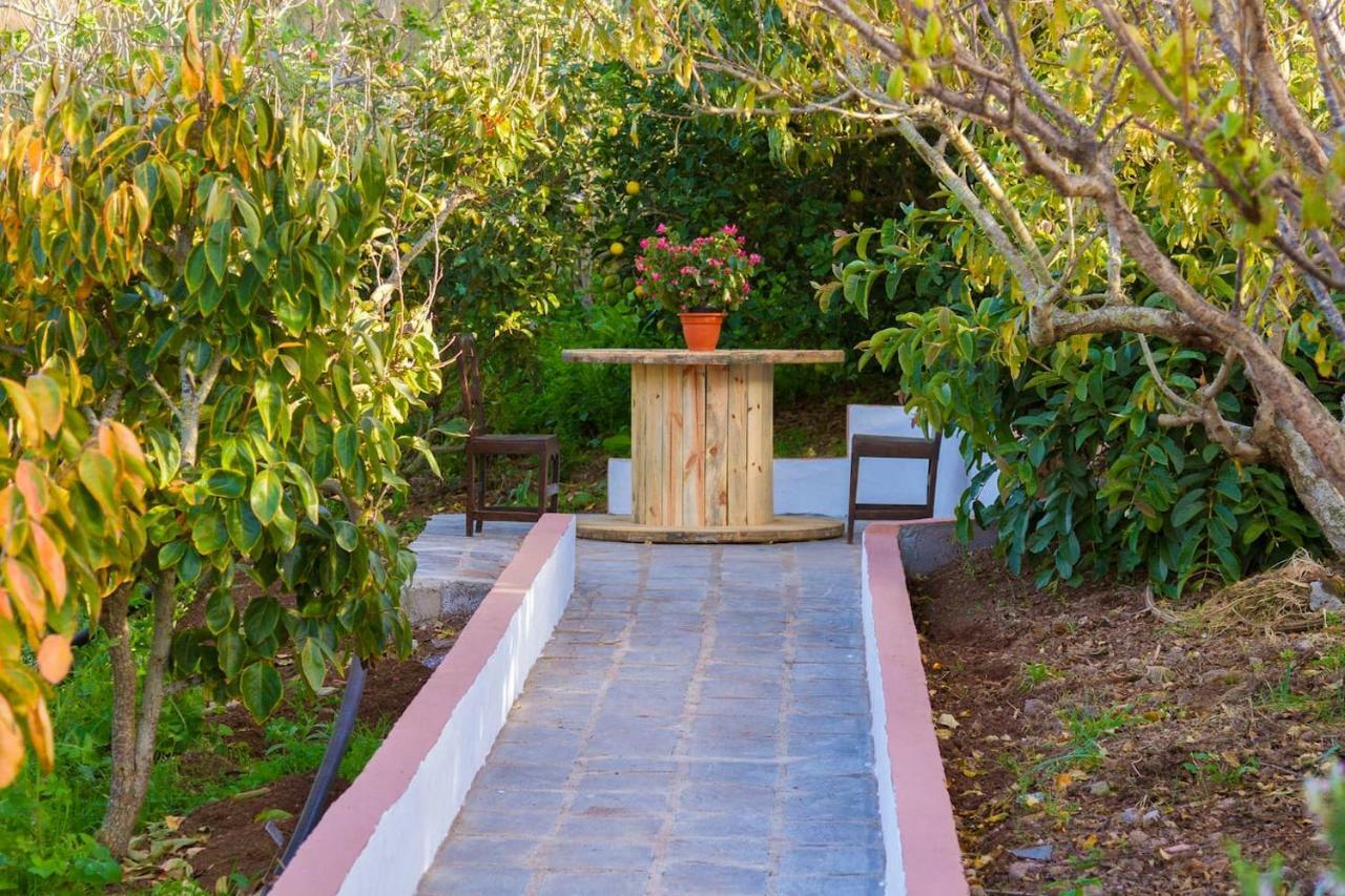 Casa Cueva Villa Aday Santa Maria de Guia de Gran Canaria Exteriör bild