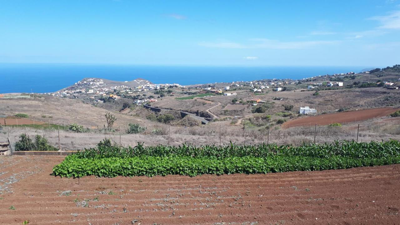 Casa Cueva Villa Aday Santa Maria de Guia de Gran Canaria Exteriör bild