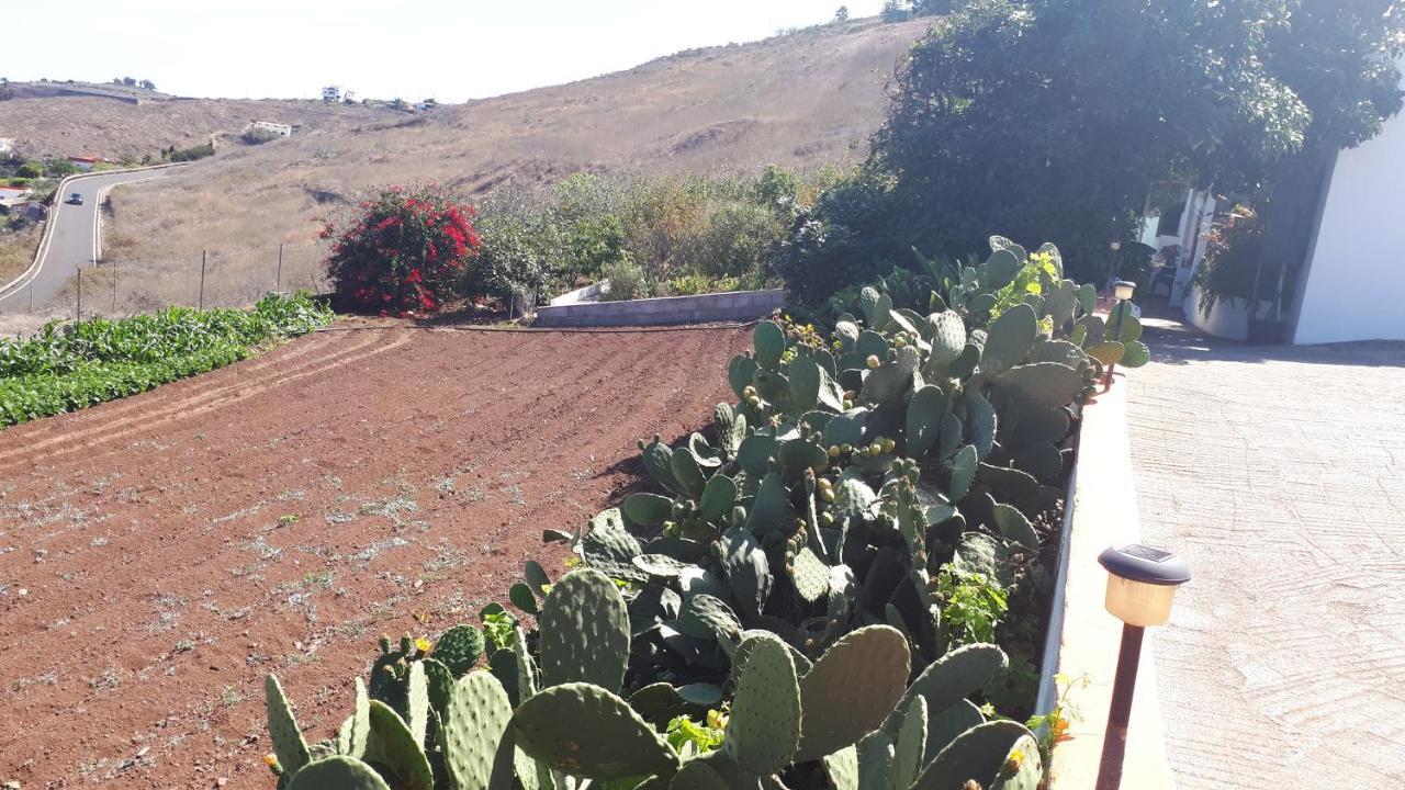 Casa Cueva Villa Aday Santa Maria de Guia de Gran Canaria Exteriör bild